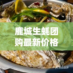鹿城生蚝团购最新价格表及购买攻略全攻略