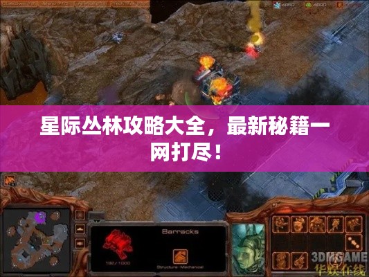 星际丛林攻略大全，最新秘籍一网打尽！