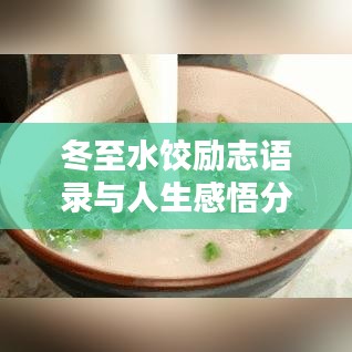 冬至水饺励志语录与人生感悟分享