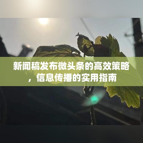 新闻稿发布微头条的高效策略，信息传播的实用指南