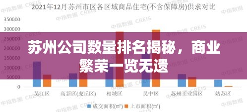 苏州公司数量排名揭秘，商业繁荣一览无遗