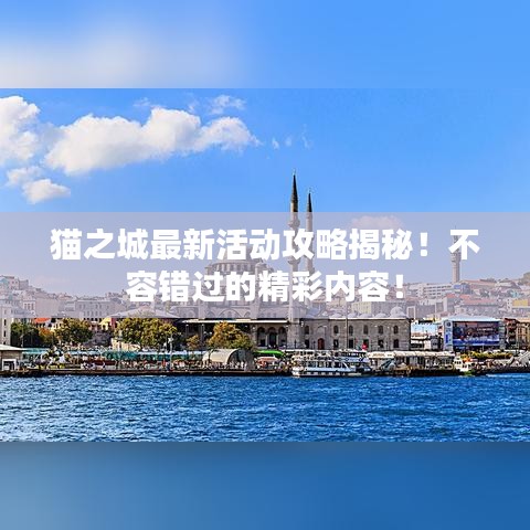 猫之城最新活动攻略揭秘！不容错过的精彩内容！