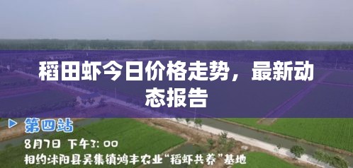 富贵不淫