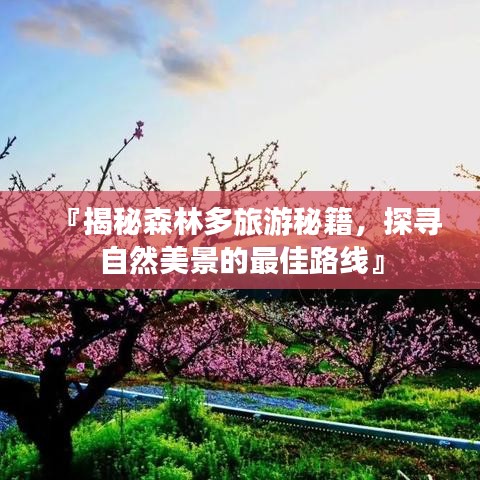 孜孜不倦