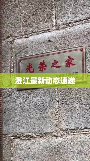 澄江最新动态速递