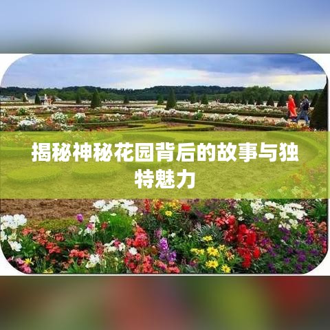 揭秘神秘花园背后的故事与独特魅力