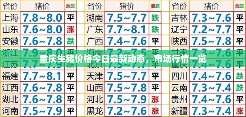 重庆生猪价格今日最新动态，市场行情一览