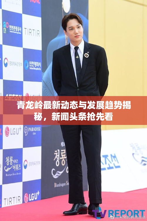 光明磊落