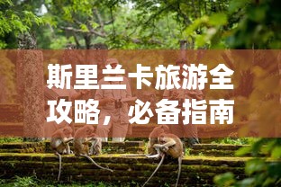 斯里兰卡旅游全攻略，必备指南一网打尽！