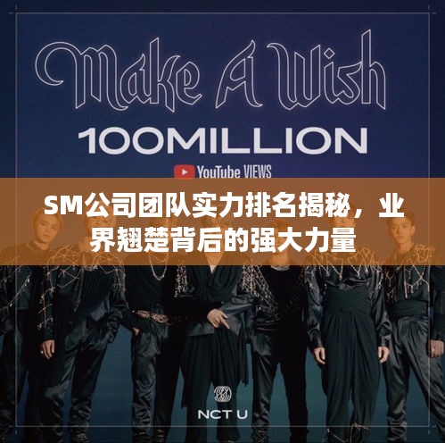 SM公司团队实力排名揭秘，业界翘楚背后的强大力量
