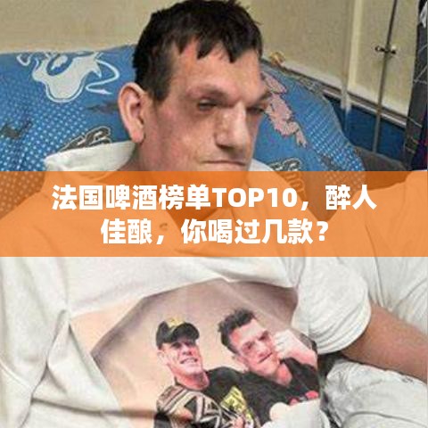法国啤酒榜单TOP10，醉人佳酿，你喝过几款？
