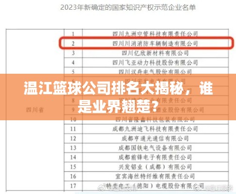 温江篮球公司排名大揭秘，谁是业界翘楚？