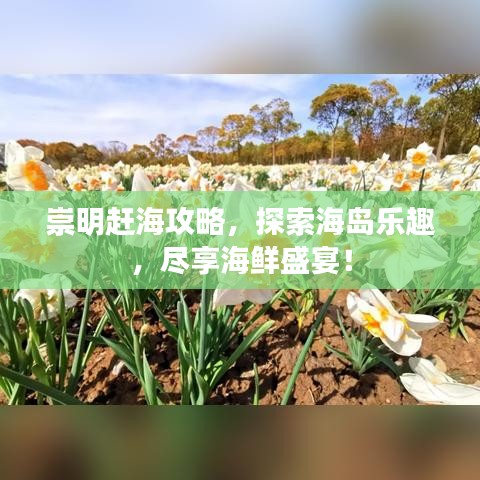 崇明赶海攻略，探索海岛乐趣，尽享海鲜盛宴！
