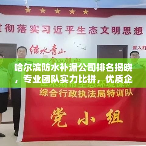 哈尔滨防水补漏公司排名揭晓，专业团队实力比拼，优质企业榜单出炉！