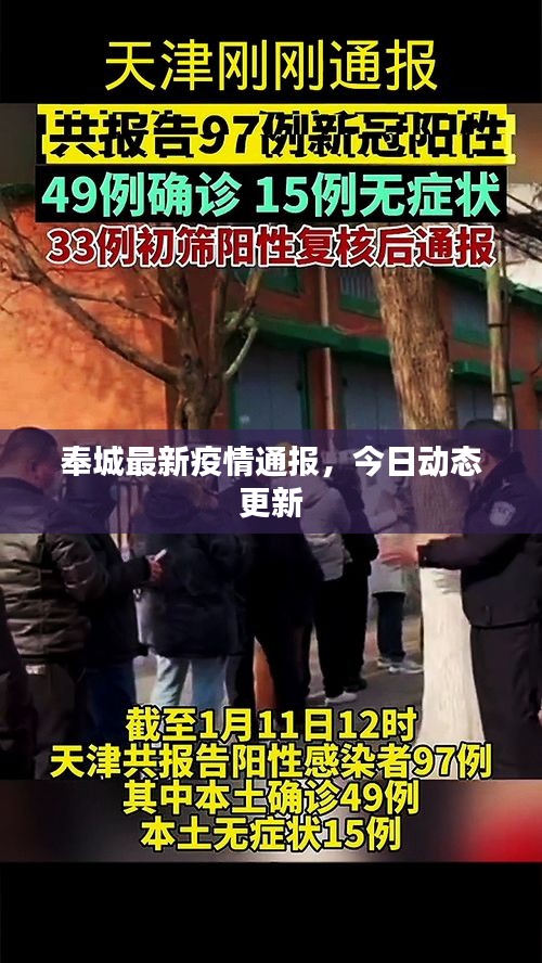 奉城最新疫情通报，今日动态更新