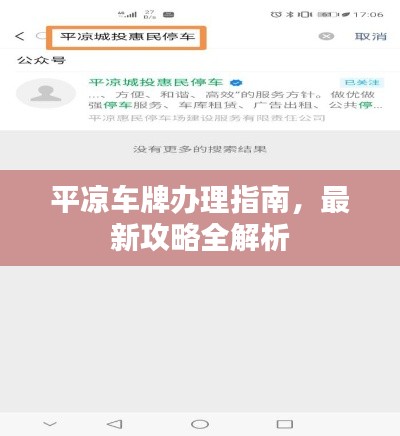 平凉车牌办理指南，最新攻略全解析