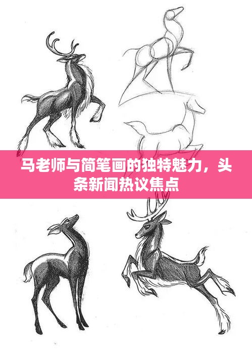 马老师与简笔画的独特魅力，头条新闻热议焦点