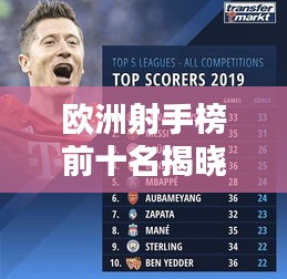 水浄鹅飞