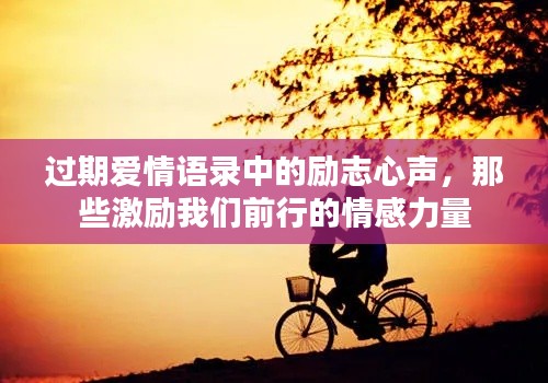 过期爱情语录中的励志心声，那些激励我们前行的情感力量
