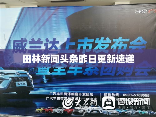 田林新闻头条昨日更新速递