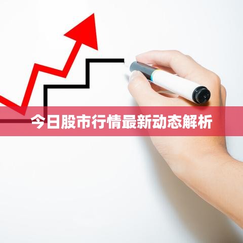 今日股市行情最新动态解析