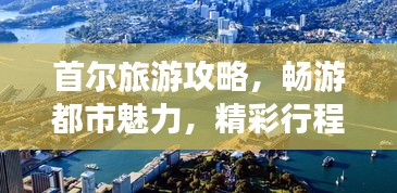 坌鸟先飞