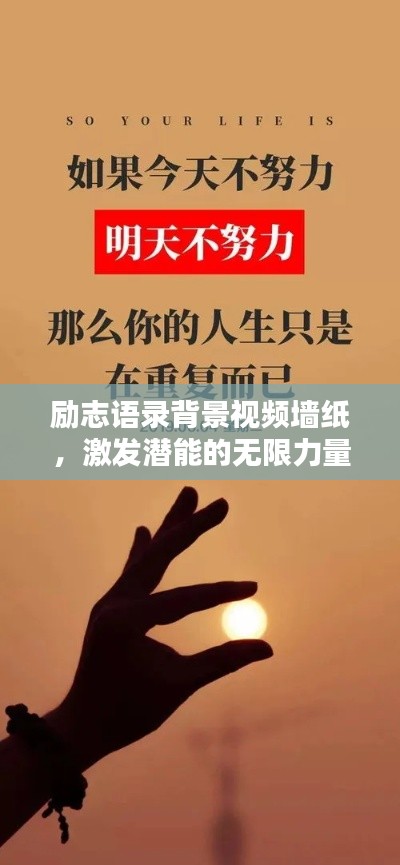 映月读书