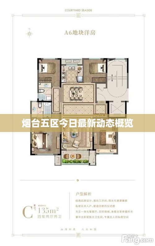 烟台五区今日最新动态概览