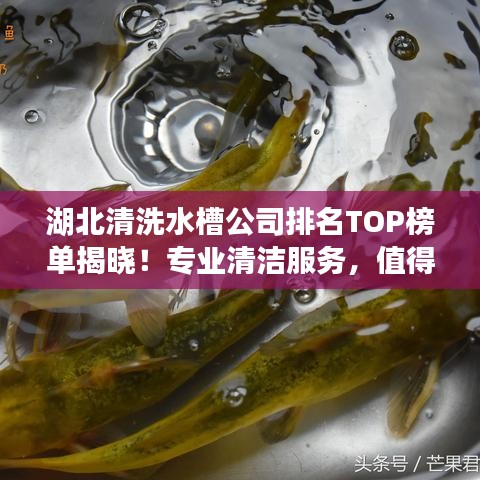 湖北清洗水槽公司排名TOP榜单揭晓！专业清洁服务，值得信赖的企业推荐