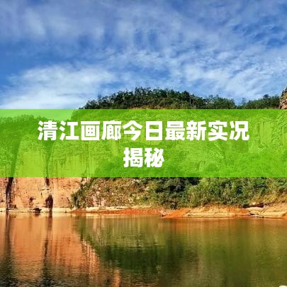 清江画廊今日最新实况揭秘