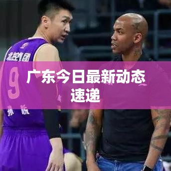 惊弦之鸟