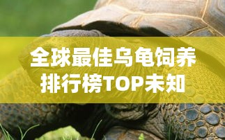 志在四方