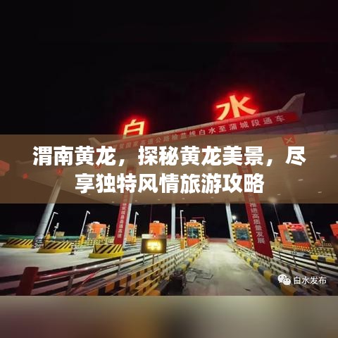 杳无音讯