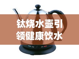 钛烧水壶引领健康饮水潮流，十大排名榜单揭晓！