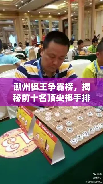 潮州棋王争霸榜，揭秘前十名顶尖棋手排名！