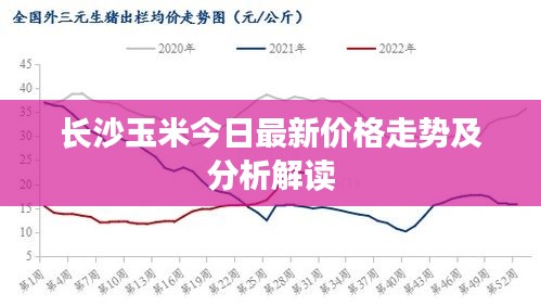 长沙玉米今日最新价格走势及分析解读