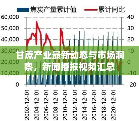 甘蔗产业最新动态与市场洞察，新闻播报视频汇总