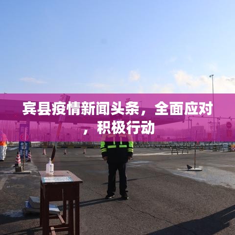 宾县疫情新闻头条，全面应对，积极行动