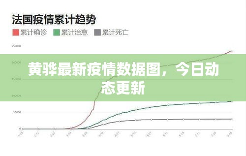黄骅最新疫情数据图，今日动态更新