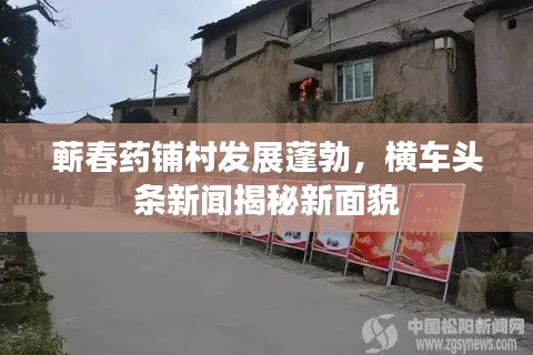蕲春药铺村发展蓬勃，横车头条新闻揭秘新面貌