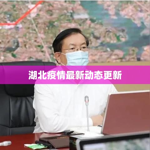 湖北疫情最新动态更新