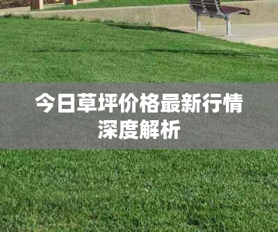 今日草坪价格最新行情深度解析