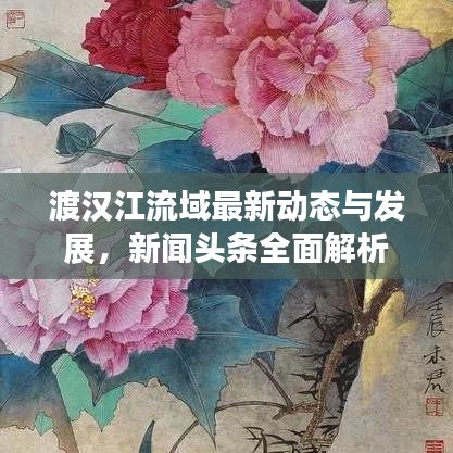 渡汉江流域最新动态与发展，新闻头条全面解析