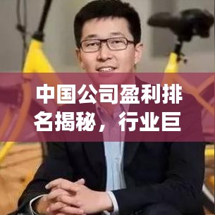 中国公司盈利排名揭秘，行业巨头与利润增长趋势分析