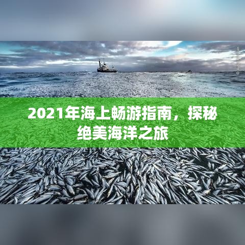 2021年海上畅游指南，探秘绝美海洋之旅