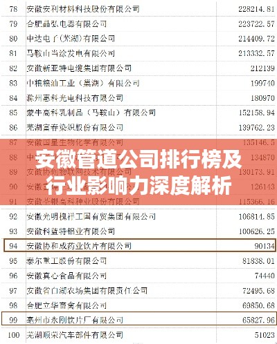 安徽管道公司排行榜及行业影响力深度解析