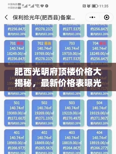肥西光明府顶楼价格大揭秘，最新价格表曝光！