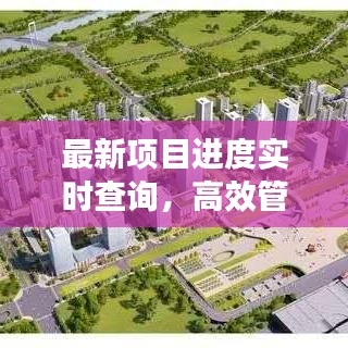 最新项目进度实时查询，高效管理，掌握一手动态！