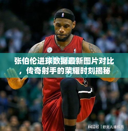 张伯伦进球数据最新图片对比，传奇射手的荣耀时刻揭秘