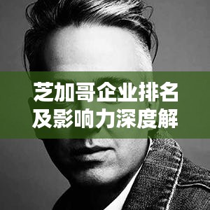 芝加哥企业排名及影响力深度解析